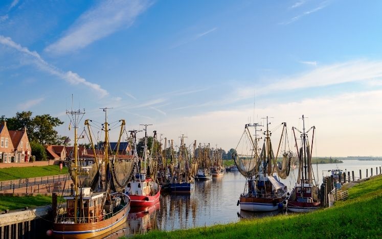 Ostfriesland Immobilienmakler
