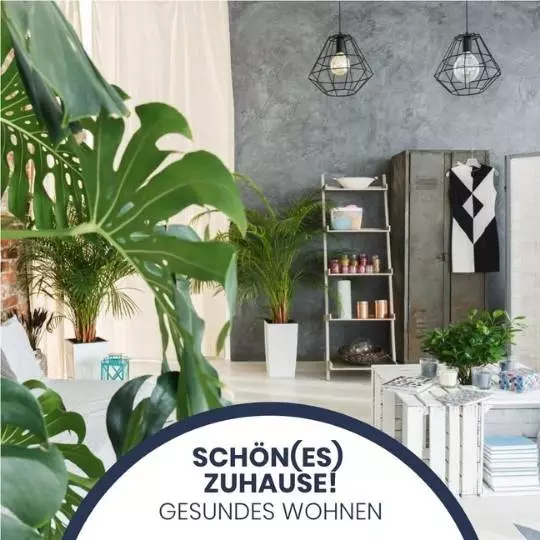 Gesundes Wohnen