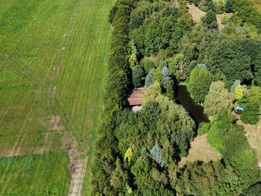 Gallery-Bild