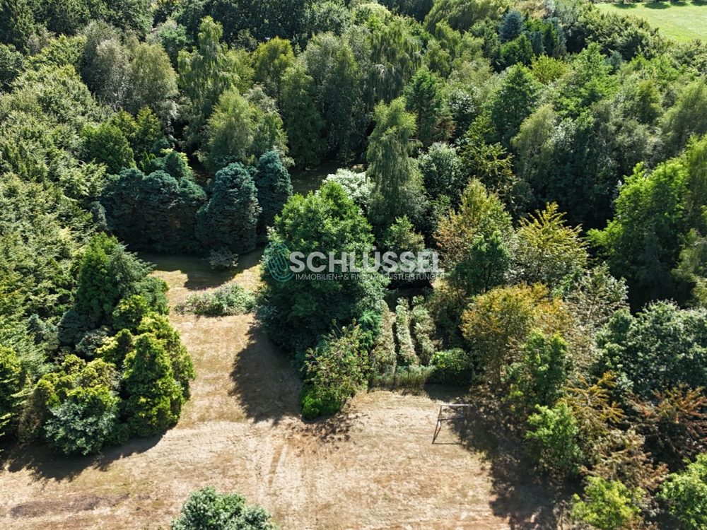 Gallery-Bild
