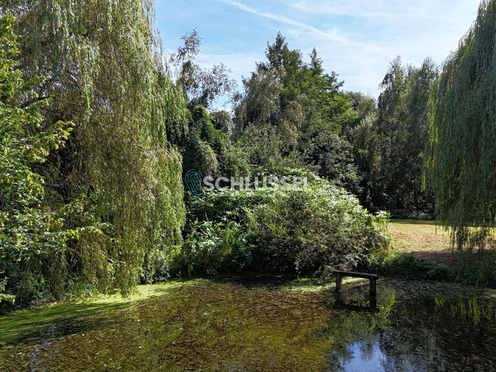 Gallery-Bild