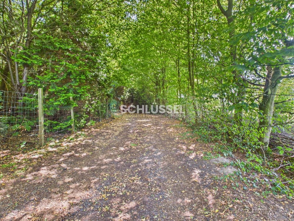 Gallery-Bild