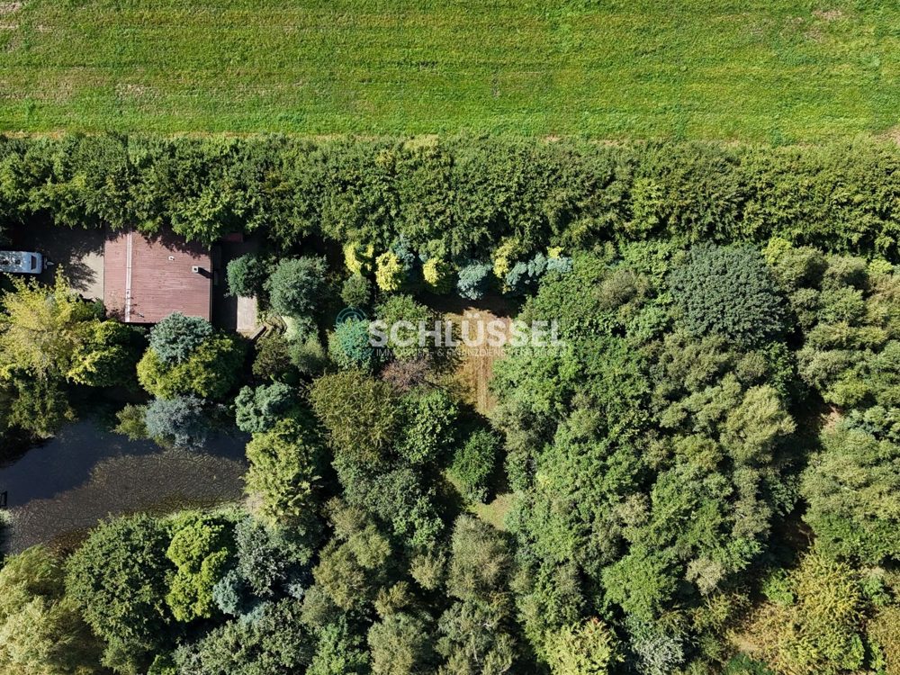 Gallery-Bild