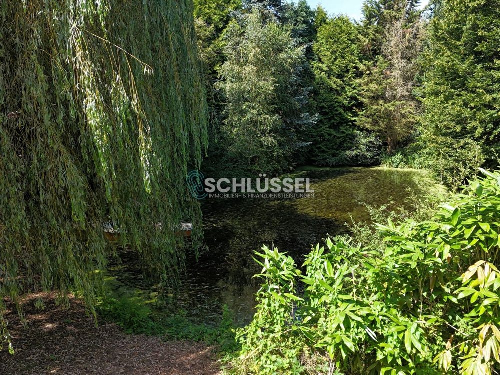 Gallery-Bild