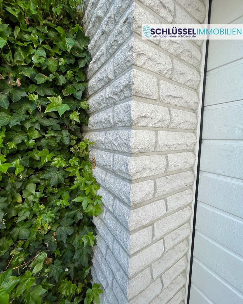 Gallery-Bild